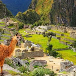 Tour a Puno: Capital del Folklore Peruano