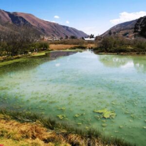 Tour al Humedal de Huasao