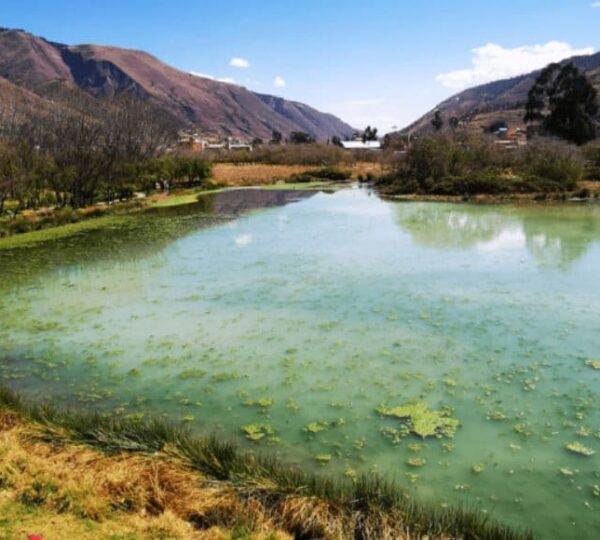Tour al Humedal de Huasao